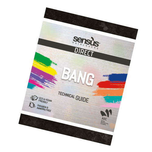 Sens.ùs Technische Handleiding Direct Bang